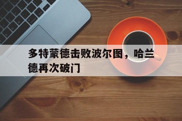 c7c7.app-多特蒙德击败波尔图，哈兰德再次破门